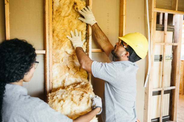 Best Insulation Replacement Services  in Mount Hope, NJ